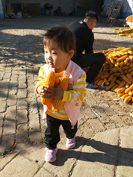 2018111102948647.jpg